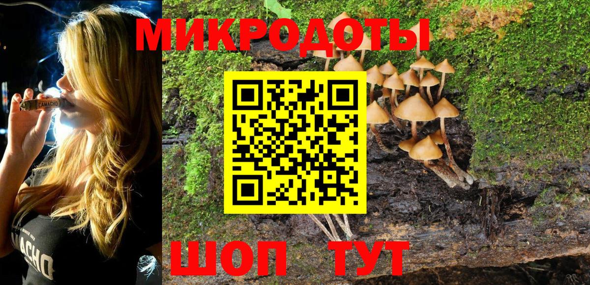 Зеленогорск  Псилоцибиновые грибы Magic Shrooms  Вход с VPN 