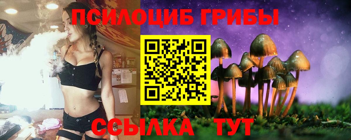Галлюциногенные грибы Psilocybine cubensis Зеленогорск